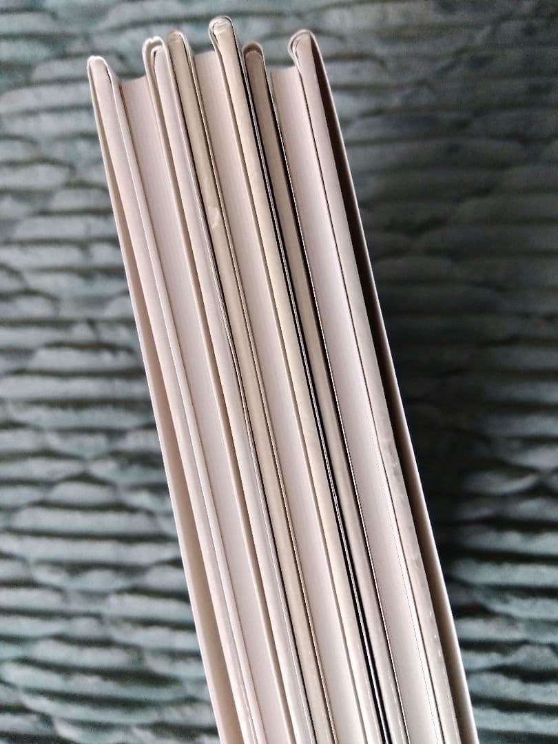 レイモン·ペイネ画集 3冊セット
