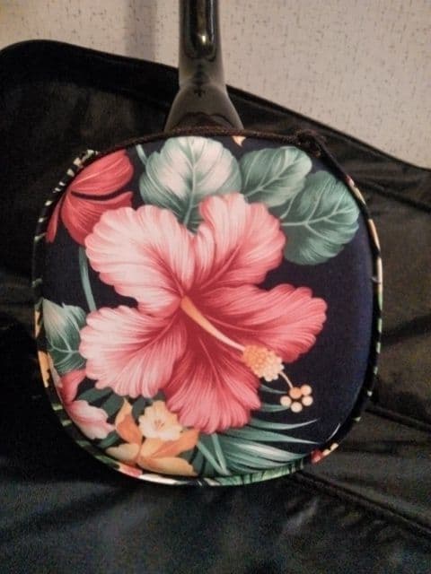 ♪沖縄で買った三線♪超綺麗で♪