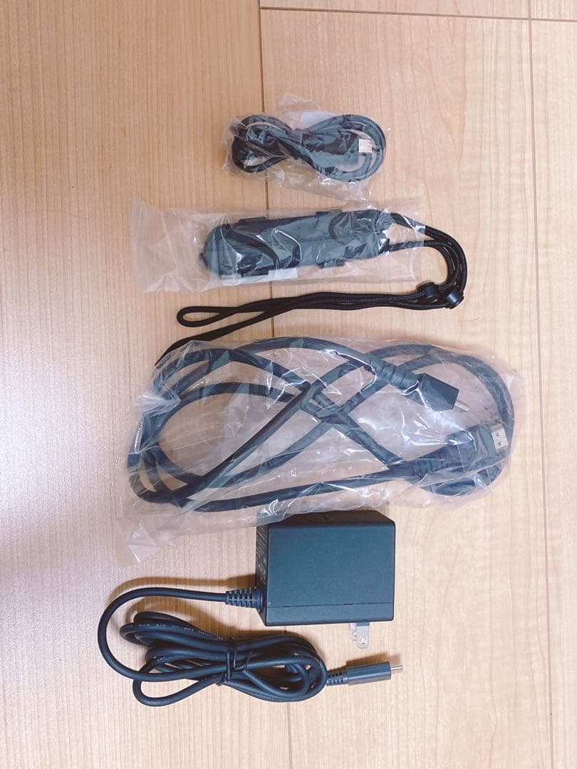【美品】Nintendo Switch別売コントローラー付き