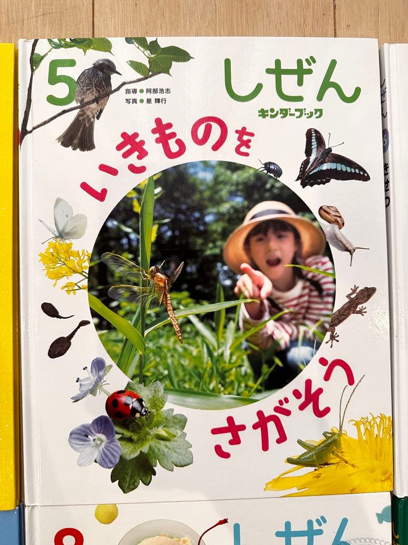 2026年3月 しぜん 絵本シリーズ全12巻セット　フレーベル館 キンダーブック