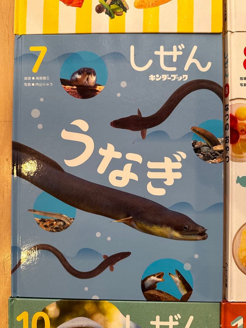 2026年3月 しぜん 絵本シリーズ全12巻セット　フレーベル館 キンダーブック