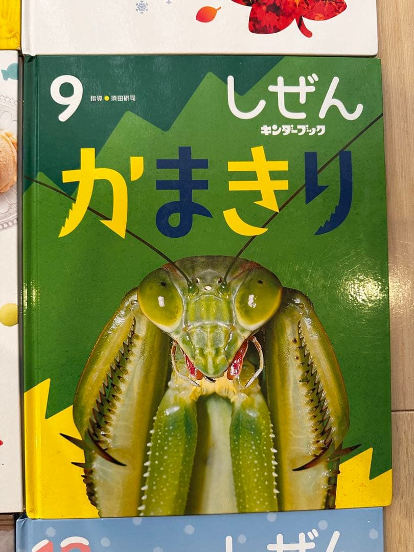2026年3月 しぜん 絵本シリーズ全12巻セット　フレーベル館 キンダーブック