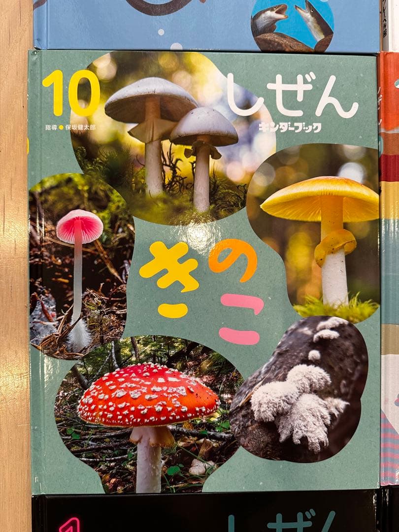2026年3月 しぜん 絵本シリーズ全12巻セット　フレーベル館 キンダーブック