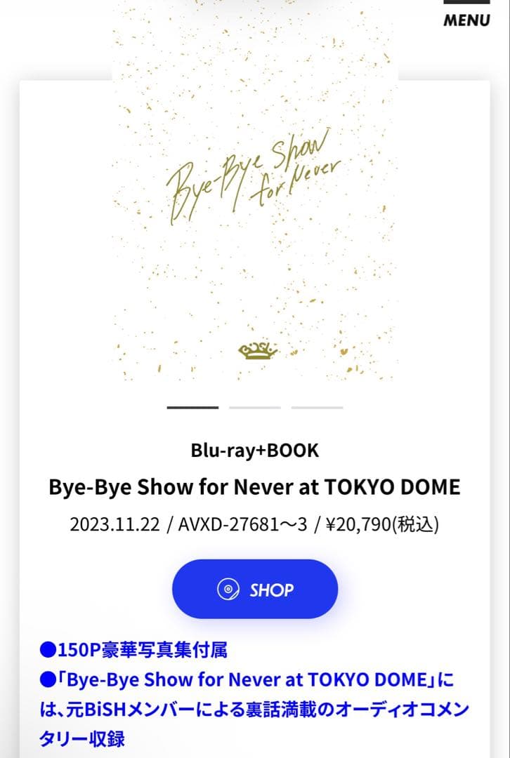 【値下げ交渉可】 Bye-ByeShowforNeveratTOKYO DOME