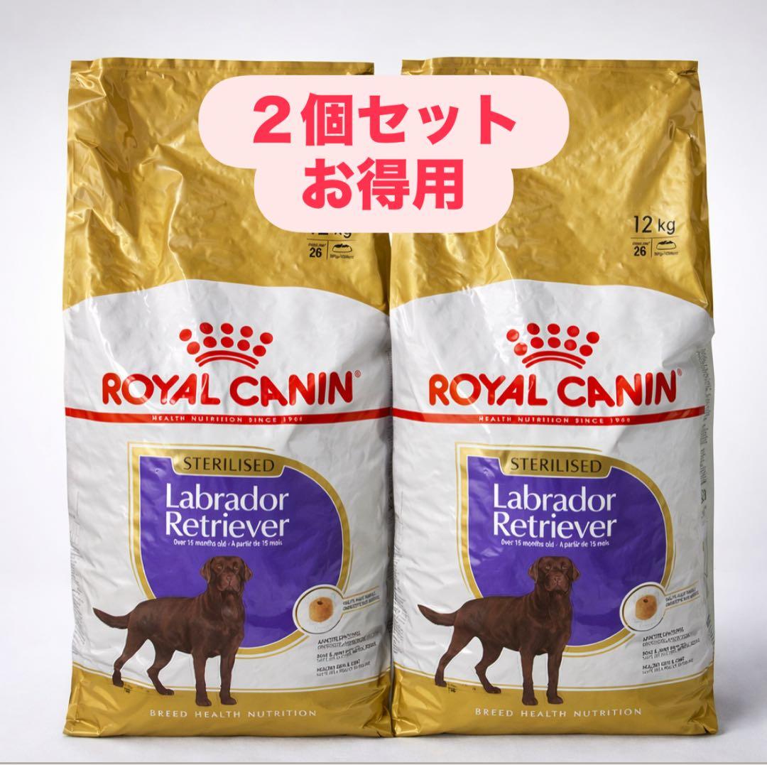 くまさん専用