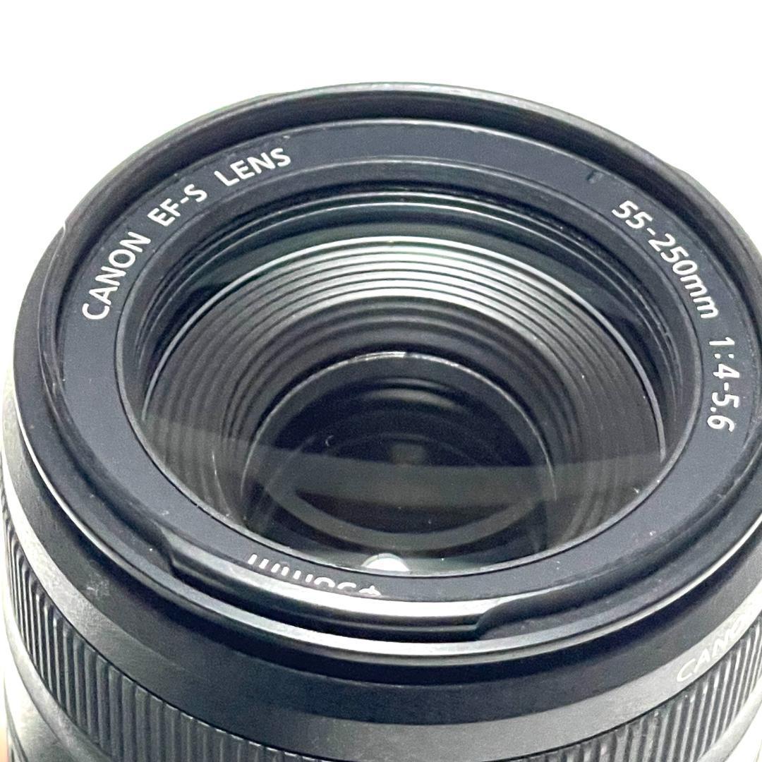 動く被写体を捉える❣️ Canon EF-S 55-250mm 望遠ズームレンズ