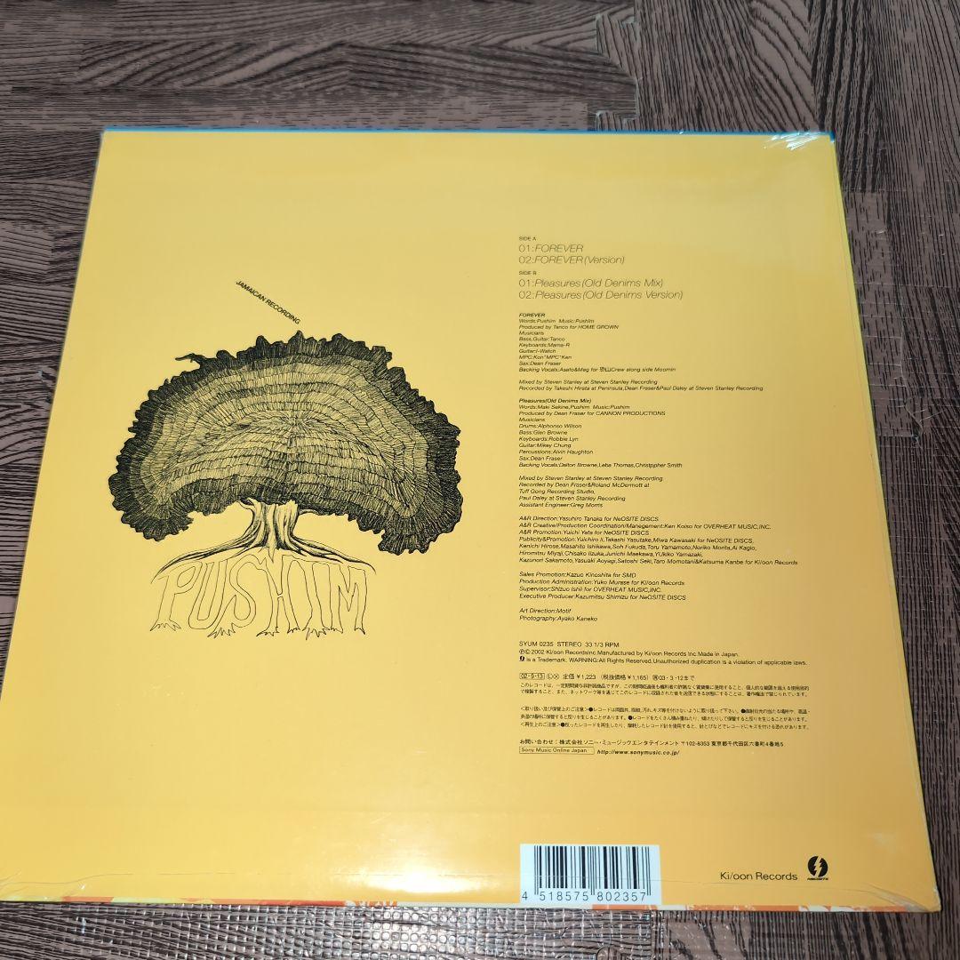 レア？PUSHIM FOREVER LP レコード