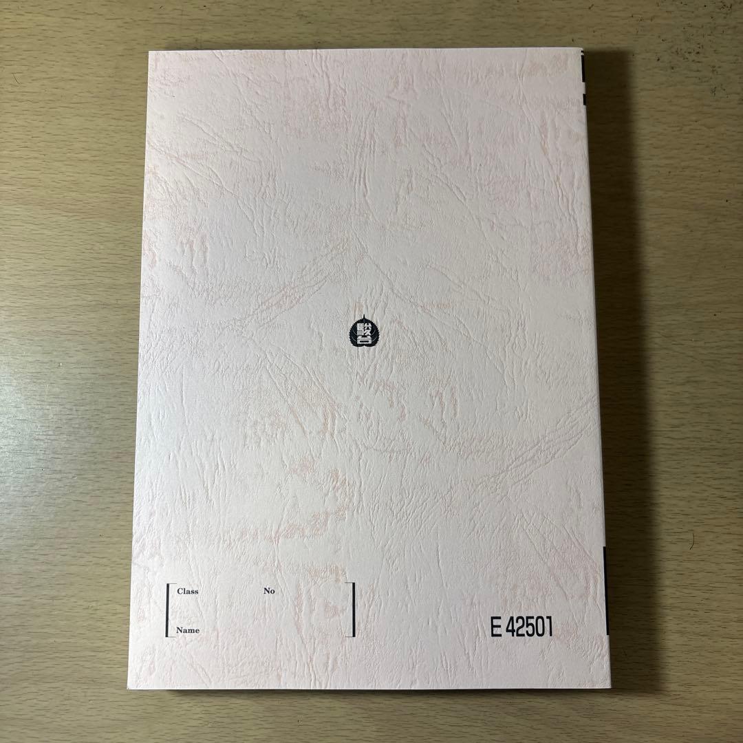 化学特講 II (無機化学) 高3 夏期 E 42501