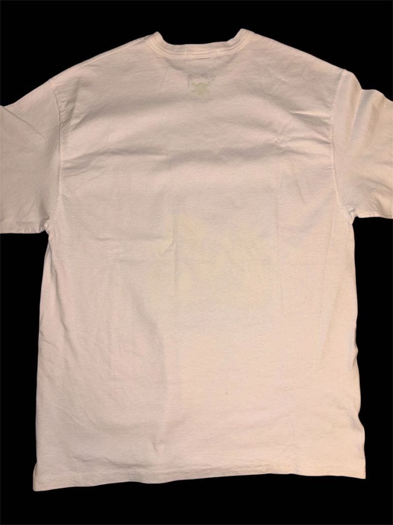 stussy オールド チャンピオンボディー キッズフォトTシャツ黄色松山5周年