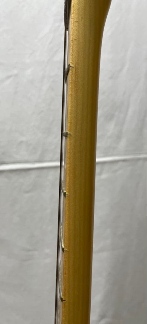 Fender Stratocaster PLUS USA ギター