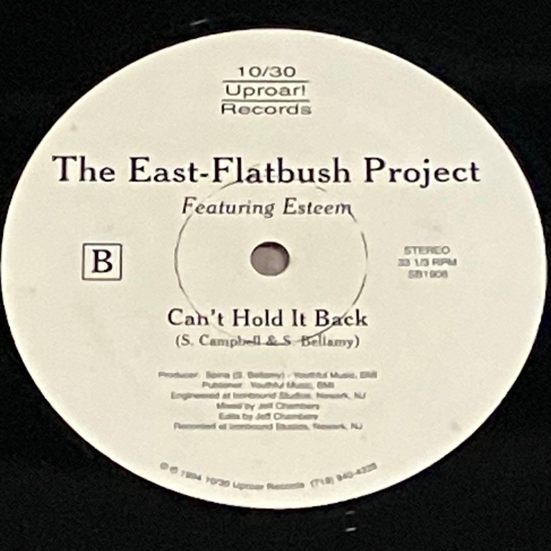 East-Flatbush Project – A Madman's Dream