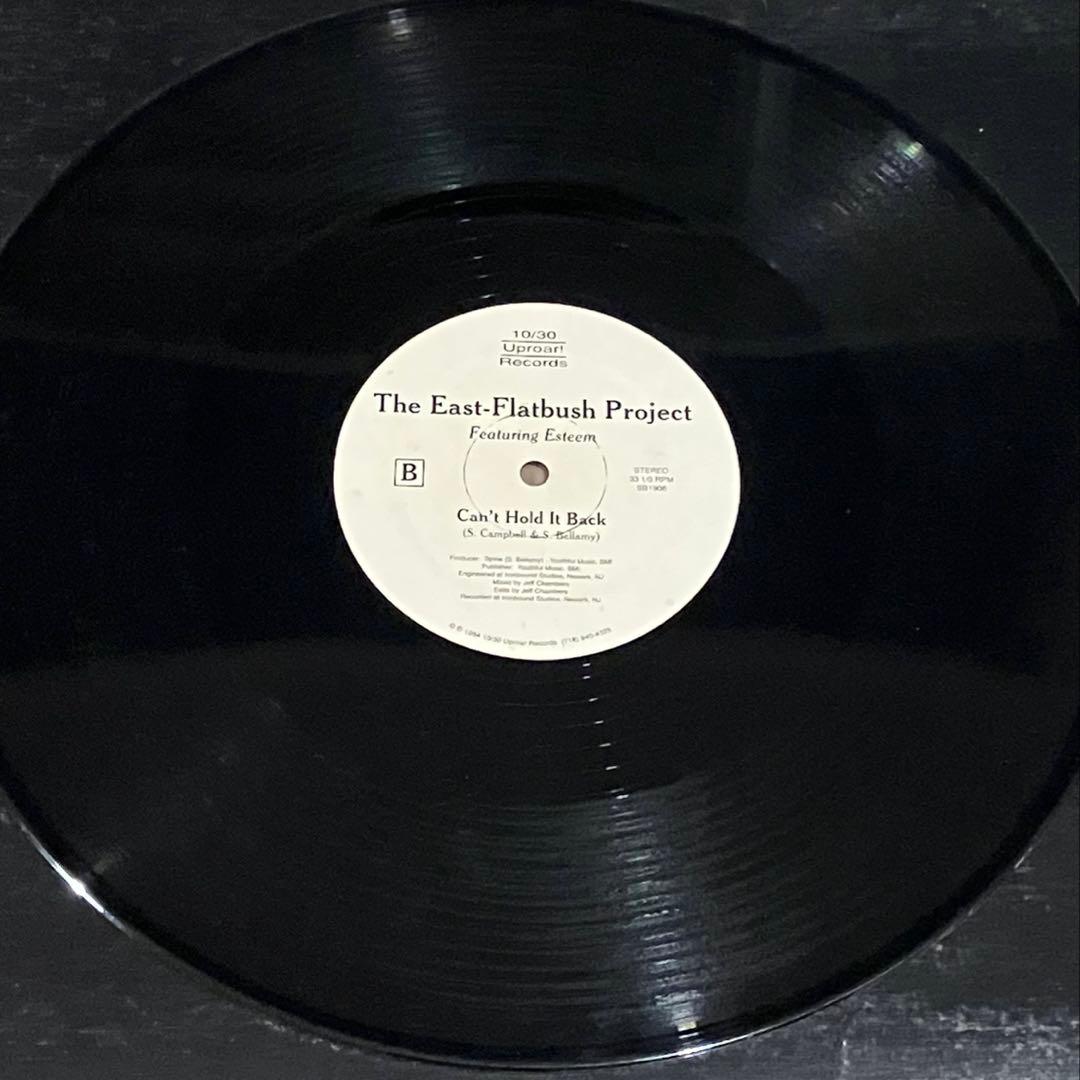 East-Flatbush Project – A Madman's Dream