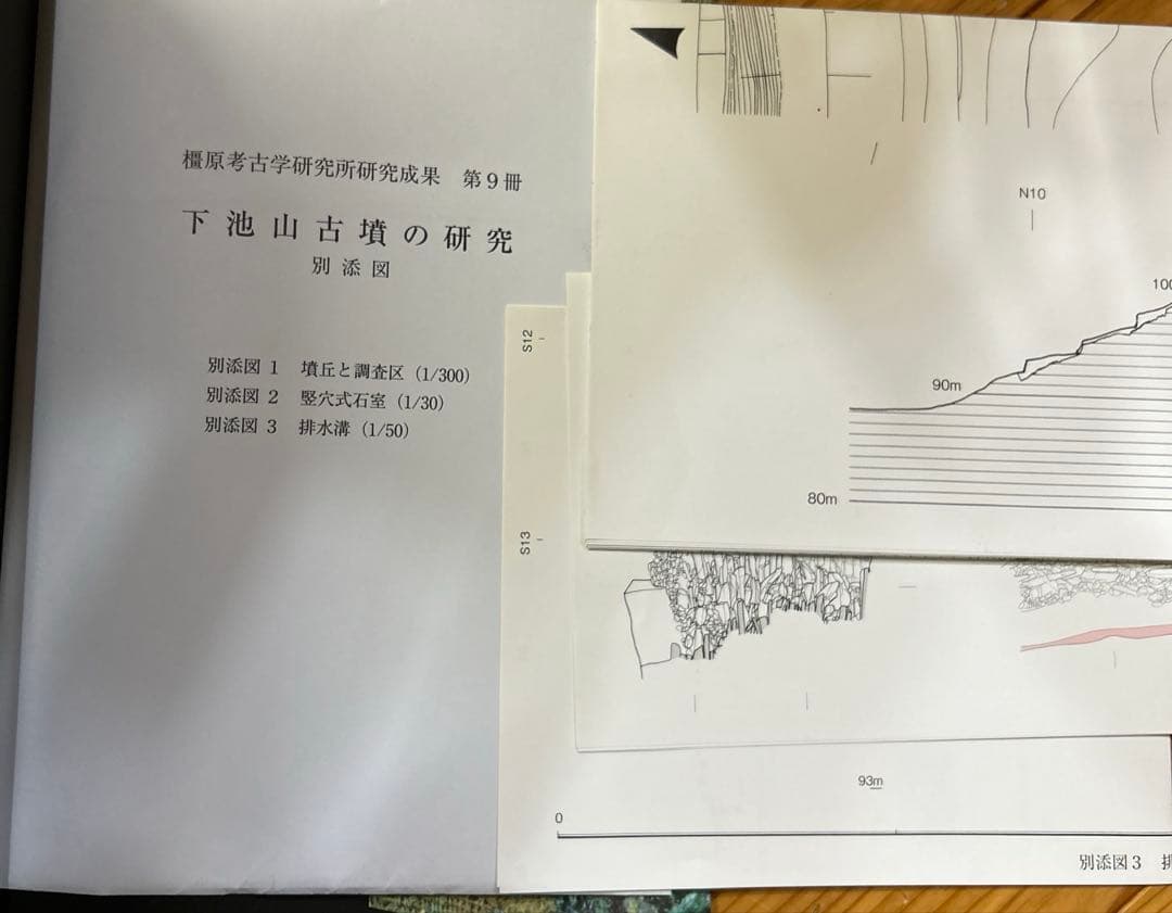 m*2様 下池山古墳の研究 (奈良県立橿原考古学研究所研究成果 第9冊)