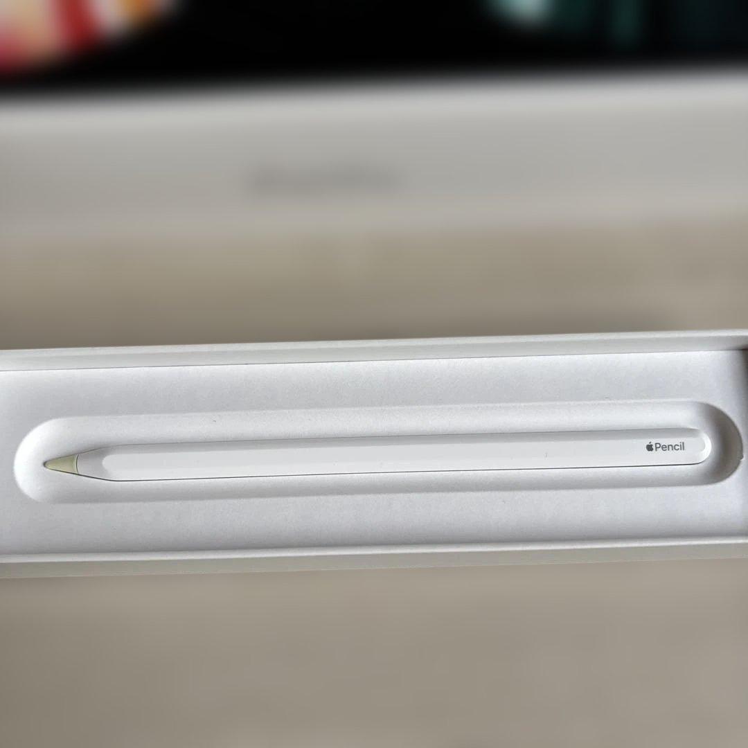 Apple ipad pro 第5世代　12.9inch M1 128GB