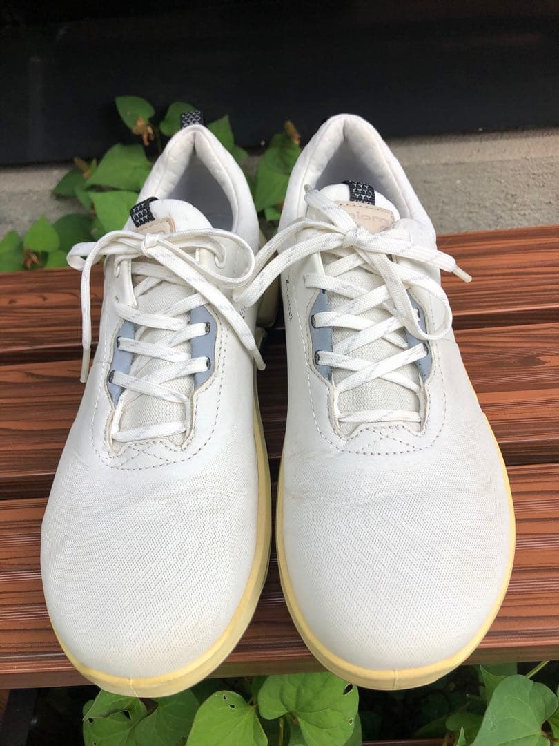 363番 美品ECCO BIOM ゴルフシューズ 37 23.5cmスパイクレス