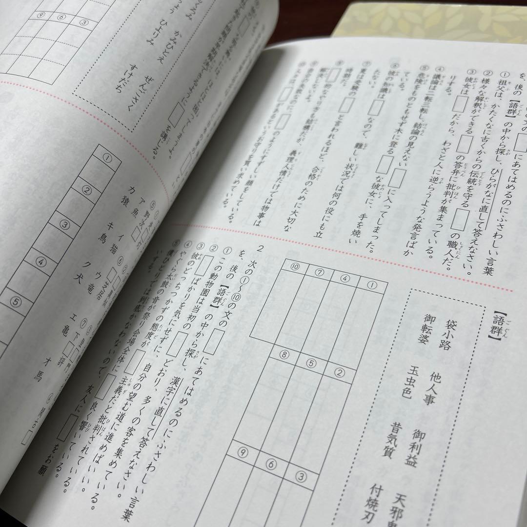 17-22ま　重要教材　サピックス　SAPIX 言葉ナビ 上巻・下巻セット