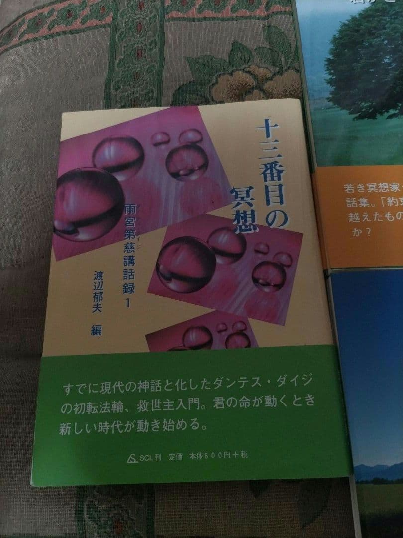雨宮第慈講話録1.2.3.4 渡辺郁夫 編　ダンテス・ダイジ 　4冊セット
