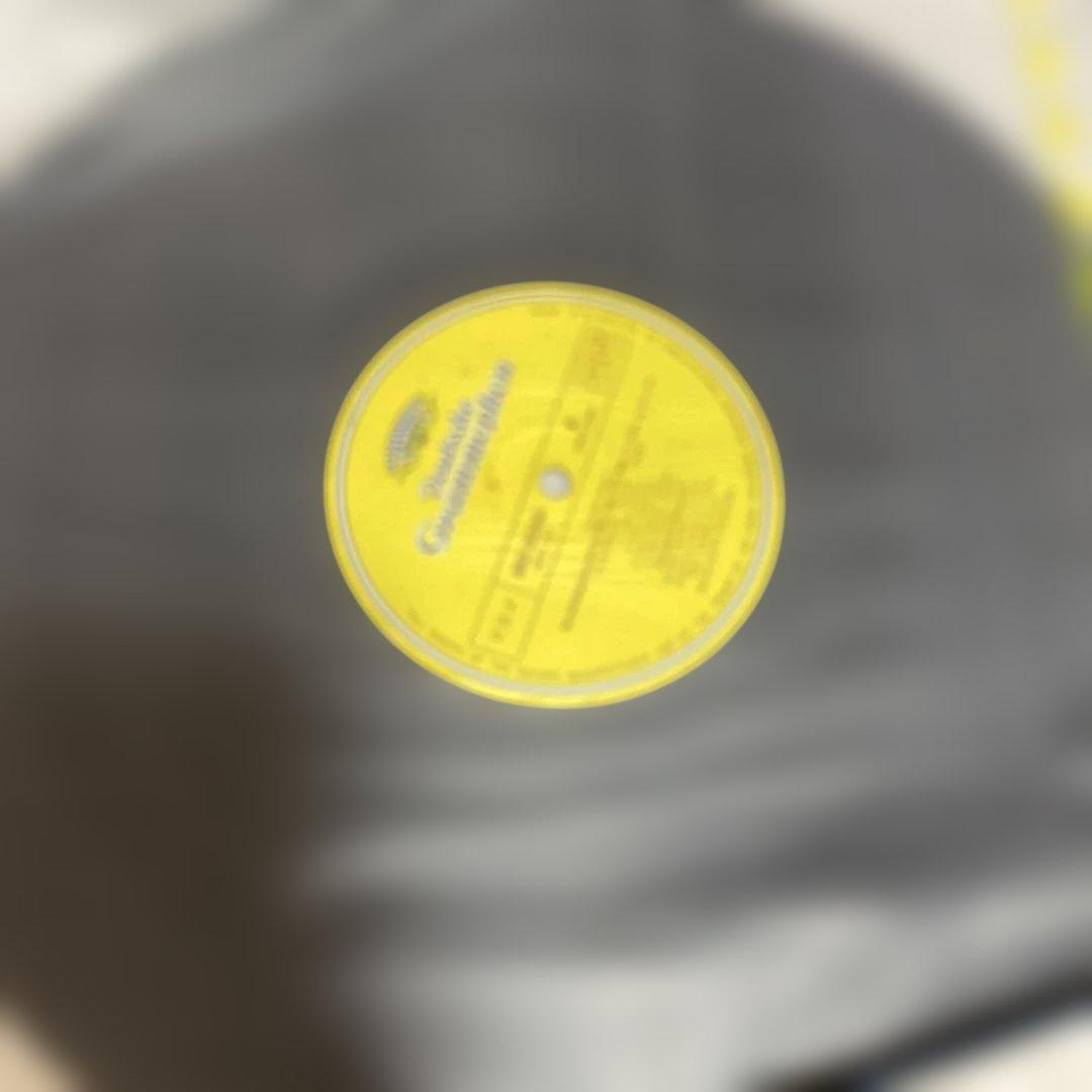 ウィーン・コンツェルトハウス四重奏団　ハイドン　弦楽四重奏曲　作品71.74