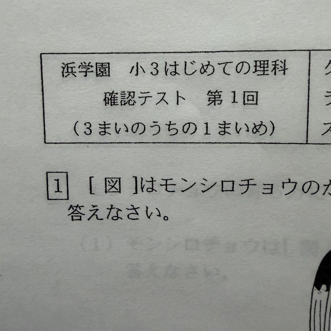 小3 公開学力テスト　2025年　算数　国語　最高レベル特訓算数　理科　社会