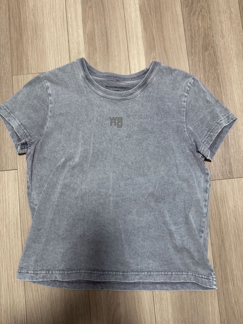 正規品Alexander Wang Tシャツ パープル S
