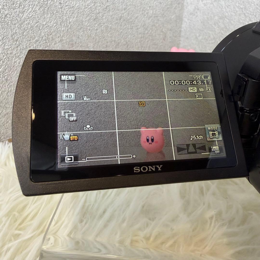 【極美品】SONY FDR-AX45 ビデオカメラ バッテリー2個 付属品多数