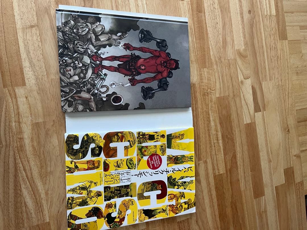 VIVA IL CICLISSIMO! 寺田克也 アートブック