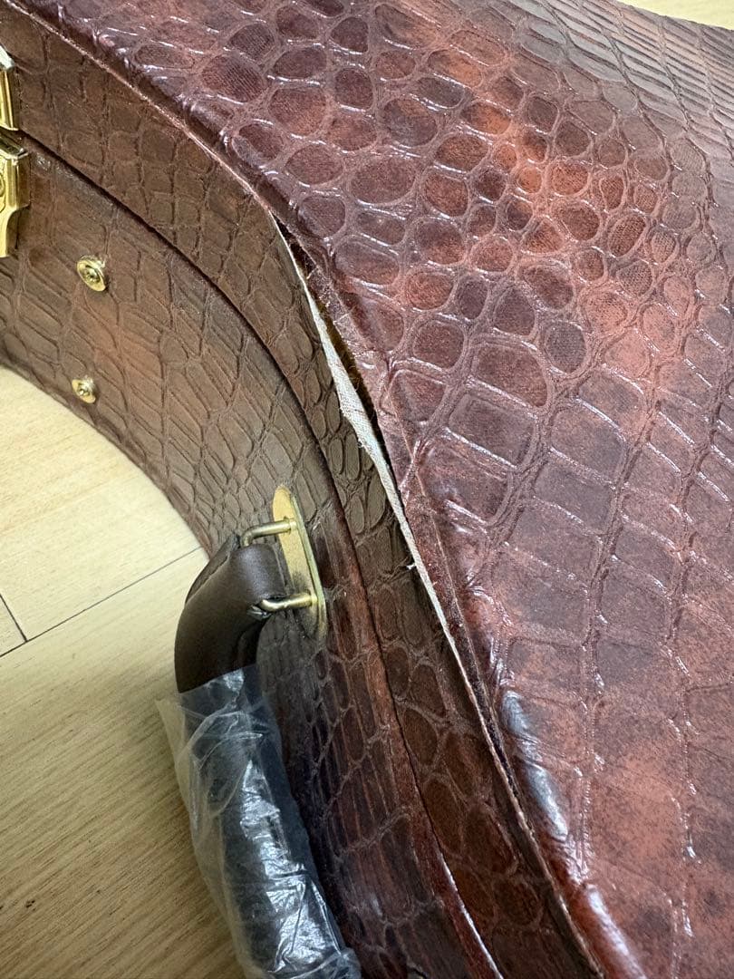 D'Angelico ( ディアンジェリコ ) NYL-2 100th 野葡萄