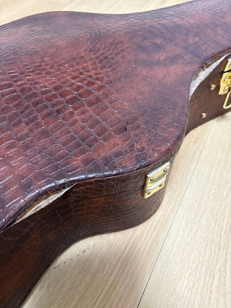 D'Angelico ( ディアンジェリコ ) NYL-2 100th 野葡萄