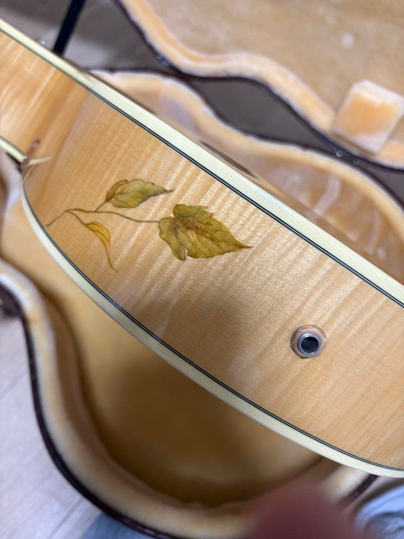 D'Angelico ( ディアンジェリコ ) NYL-2 100th 野葡萄