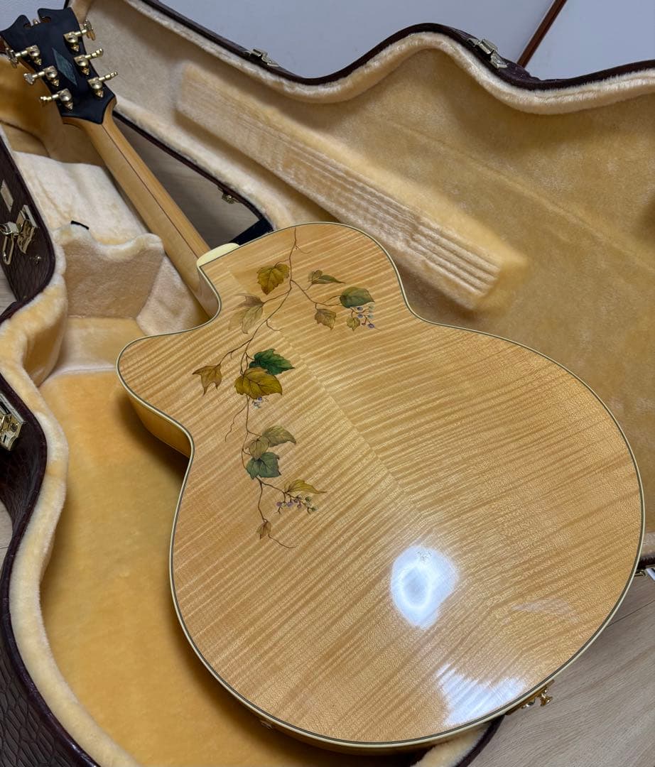 D'Angelico ( ディアンジェリコ ) NYL-2 100th 野葡萄