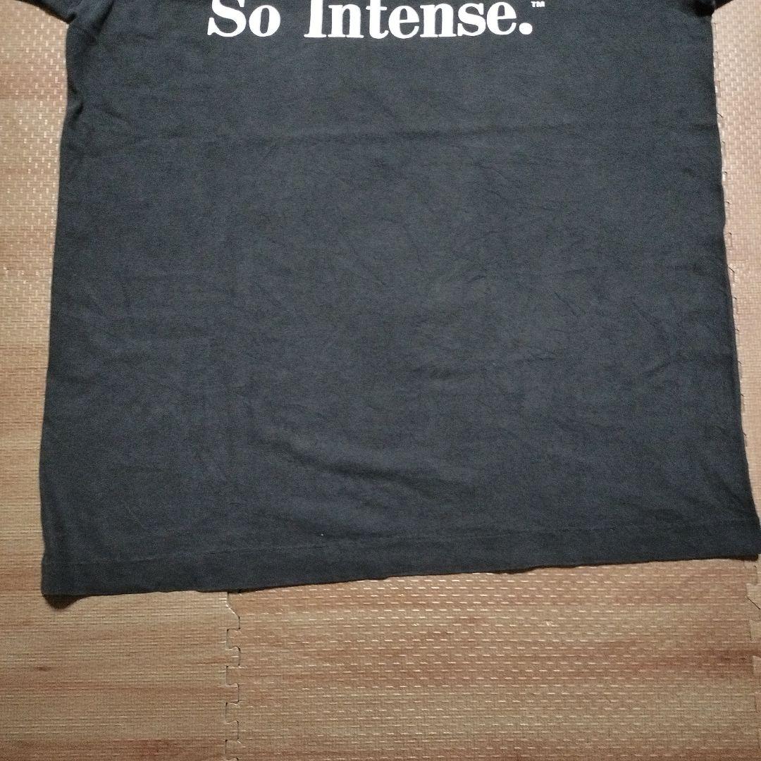 古着　オズの魔法使い　と　フルーツオブザルーム　のTシャツ