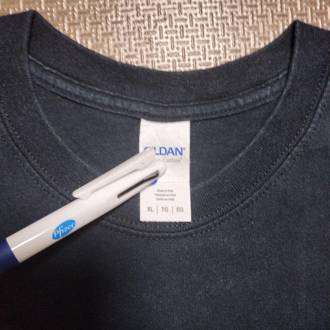古着　オズの魔法使い　と　フルーツオブザルーム　のTシャツ