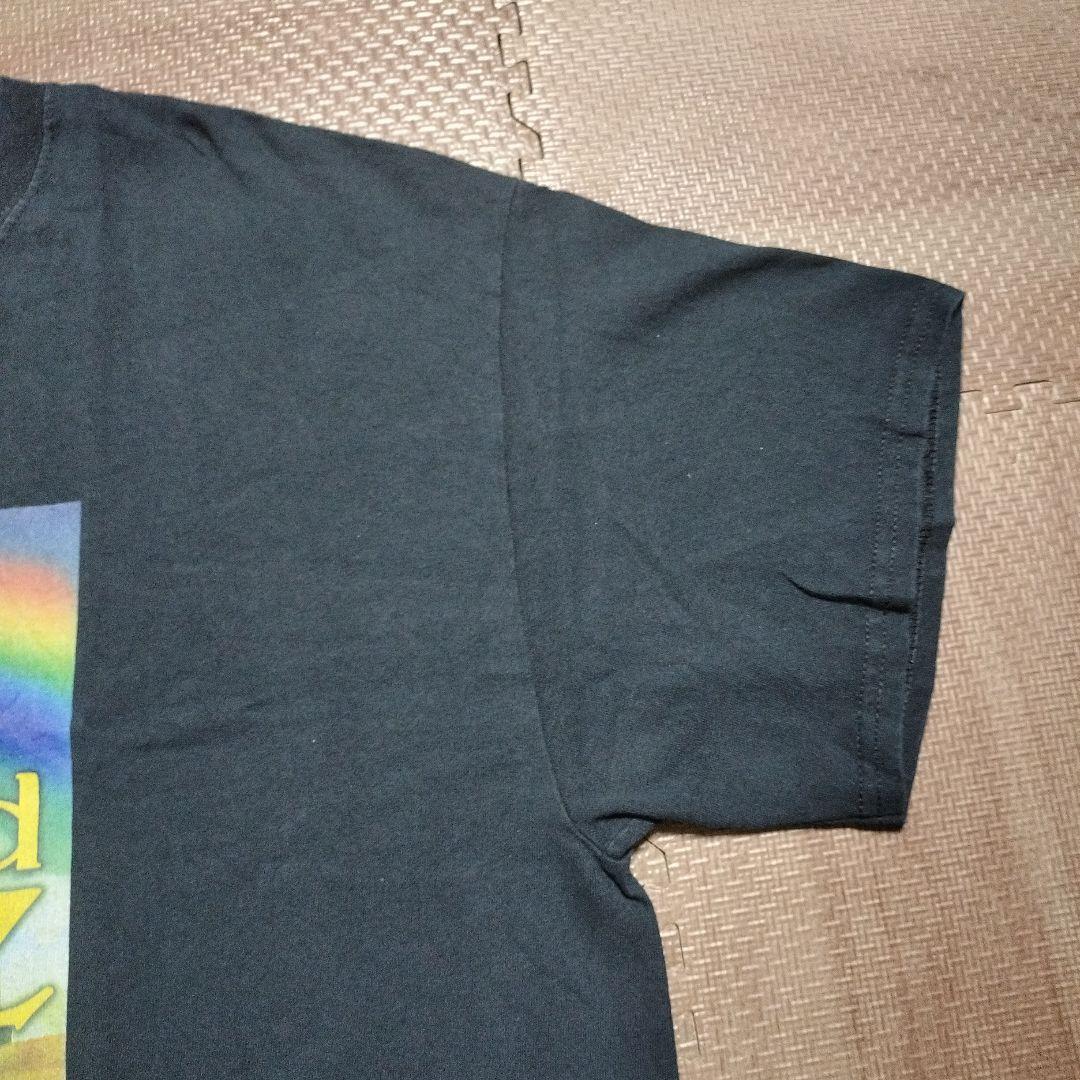 古着　オズの魔法使い　と　フルーツオブザルーム　のTシャツ