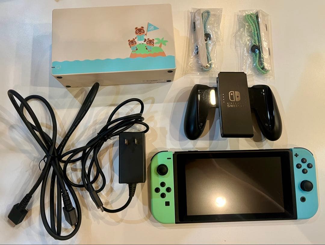 Nintendo Switch あつまれ どうぶつの森 ケース付き ソフトなし