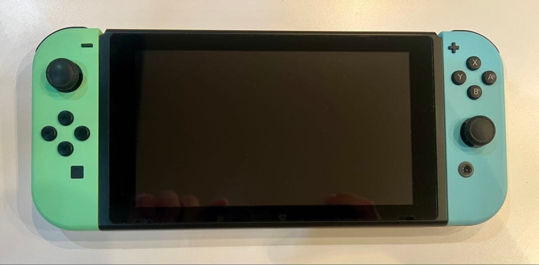 Nintendo Switch あつまれ どうぶつの森 ケース付き ソフトなし