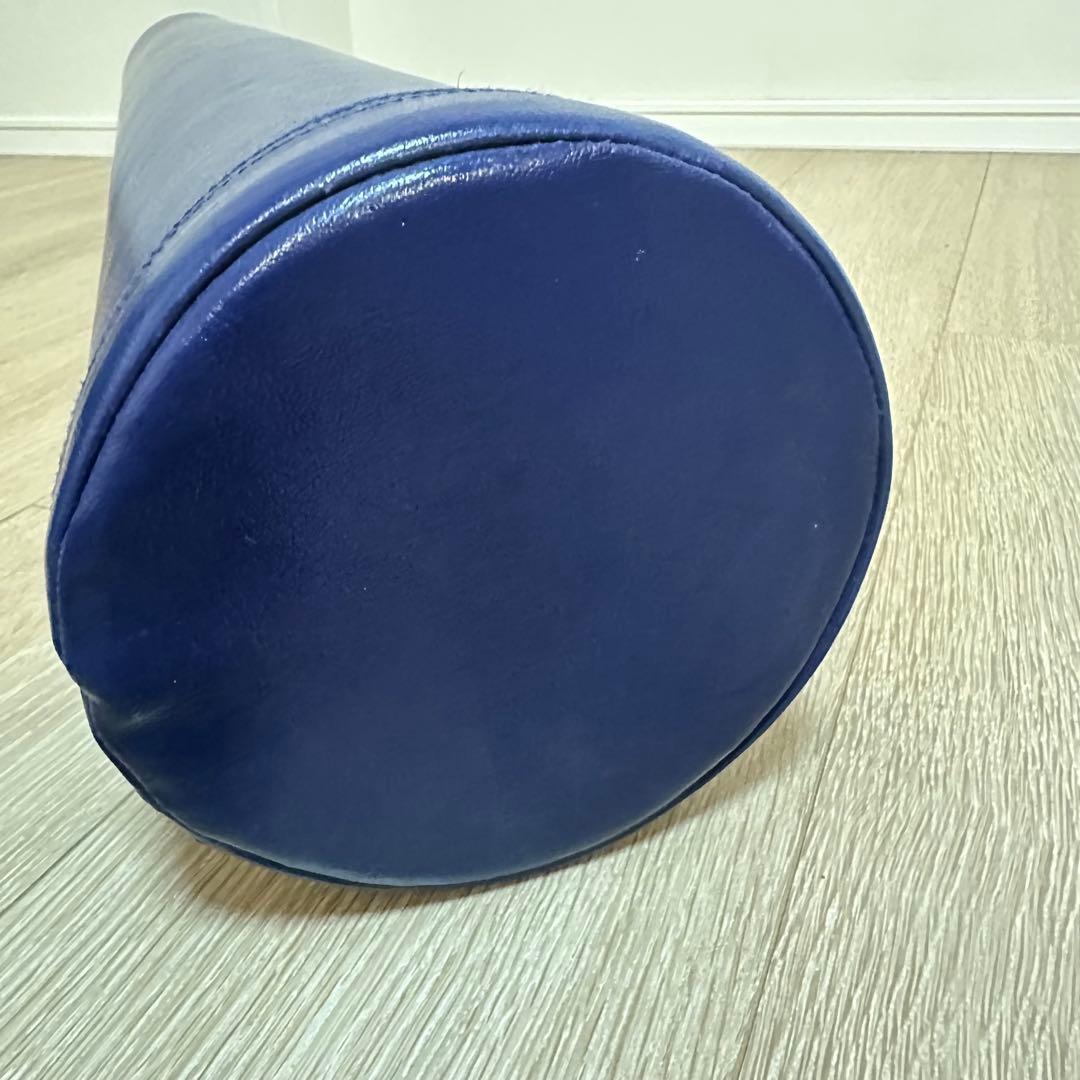 DVD&ブック付 LPN社製 ストレッチポール EX98cm ネイビー