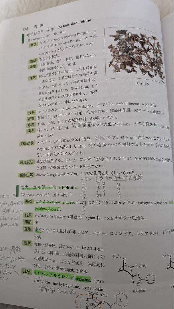 薬学部　教科書　まとめ売り　北海道科学大学➂