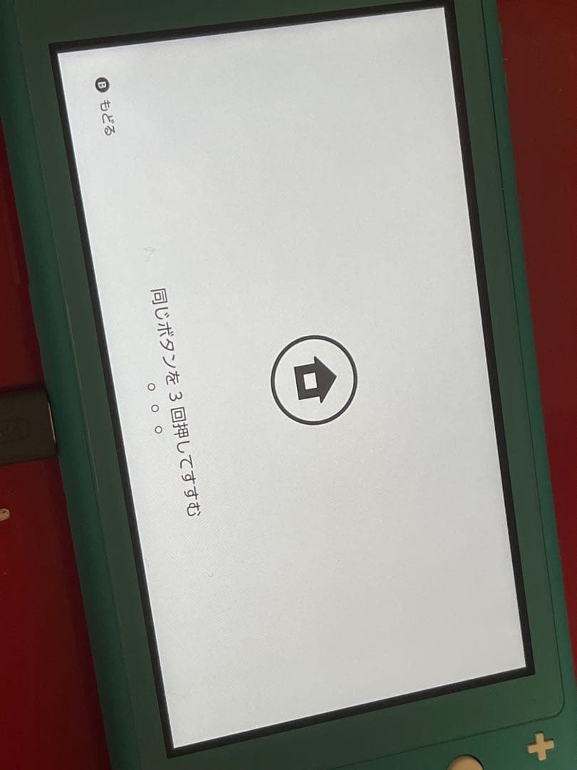 Nintendo Switch Lite 箱・充電器・カバー・ポーチ セット