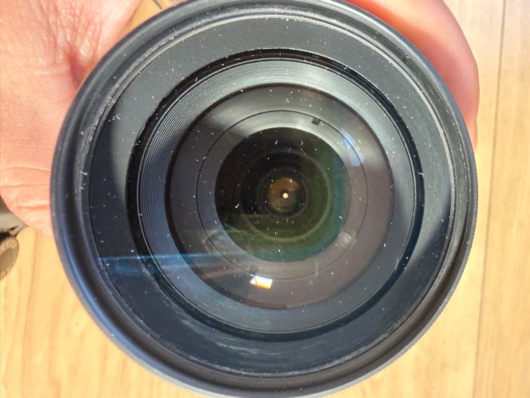 Nikon D80 デジタル一眼レフカメラ