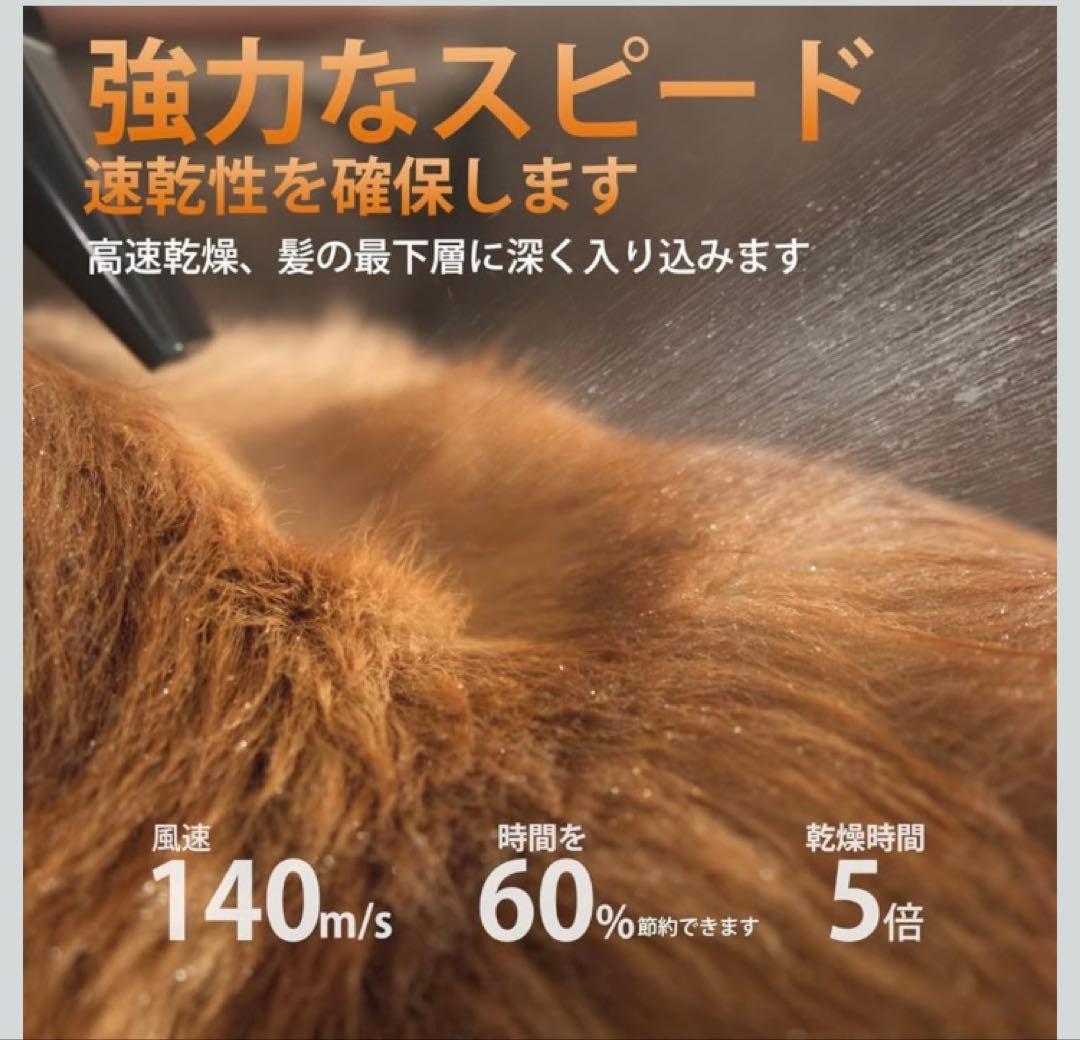 ペット用ドライヤー　⭐︎ヒマさん専用⭐︎