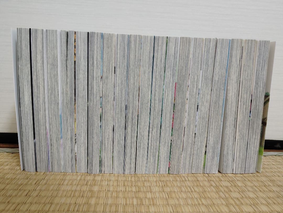 リエゾン 1-19巻 まとめ売り