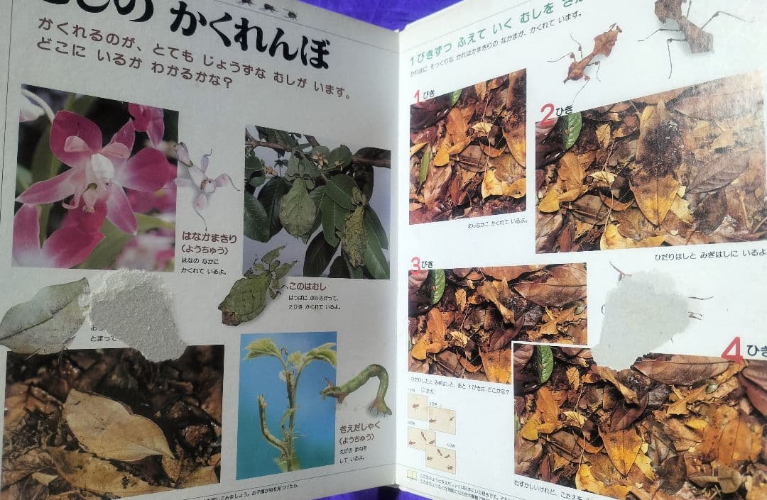 絶版本！✨21世紀幼稚園百科 こんちゅう✨日高敏隆監修 虫図鑑 表紙カバーなし
