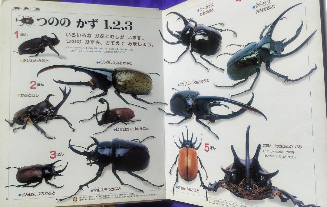 絶版本！✨21世紀幼稚園百科 こんちゅう✨日高敏隆監修 虫図鑑 表紙カバーなし