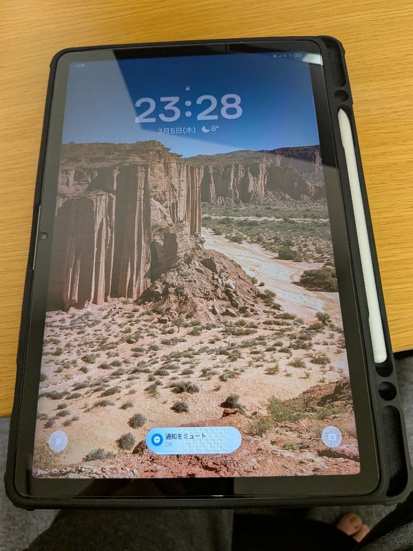 Samsung Galaxy Tab S10 Lite 本体