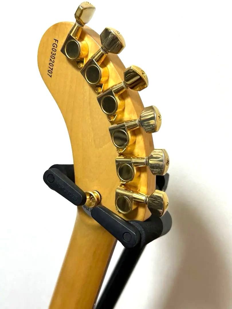 FERNANDES ZO-3 DIGI-ZO HIPER WR デジゾーハイパー