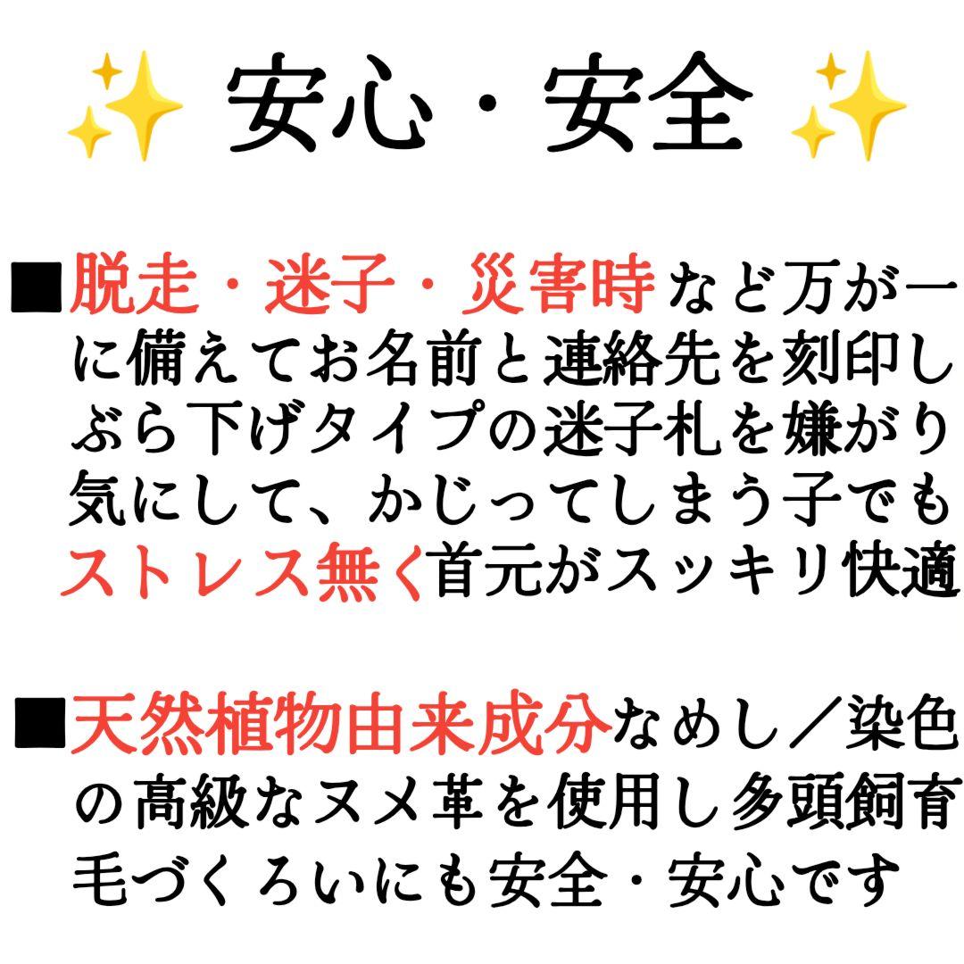 【ミシェル  】✨名入れ✨本革✨小型犬猫用首輪＆リードセット