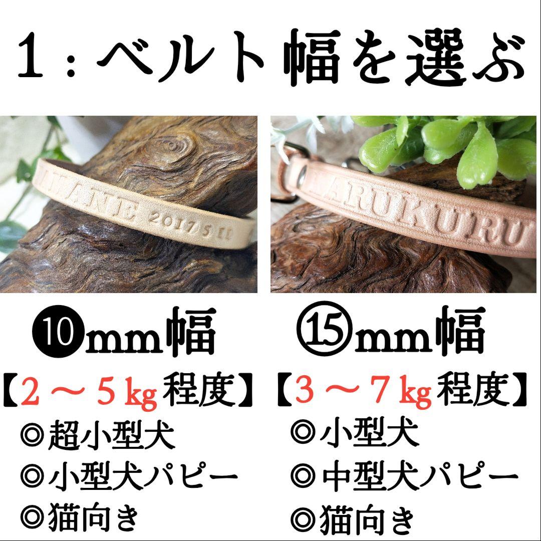 【ミシェル  】✨名入れ✨本革✨小型犬猫用首輪＆リードセット