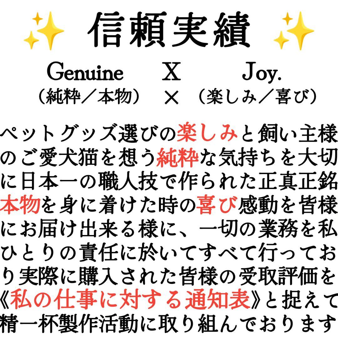 【ミシェル  】✨名入れ✨本革✨小型犬猫用首輪＆リードセット