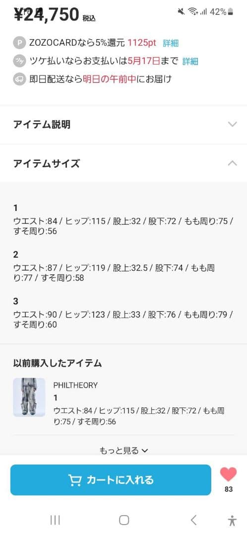 philtheory タイダイワッシャーテクノパンツ