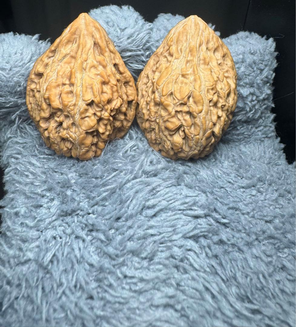 遊び胡桃 32坐佛(無修正)*高級品